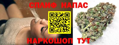 дживик Тара
