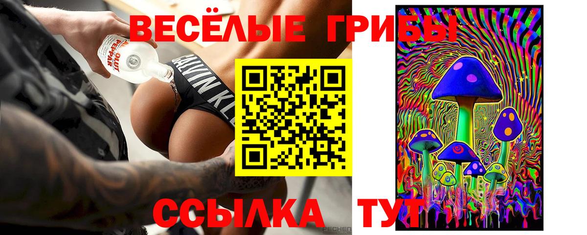 Омск  Псилоцибиновые грибы MAGIC MUSHROOMS  Вход с VPN 