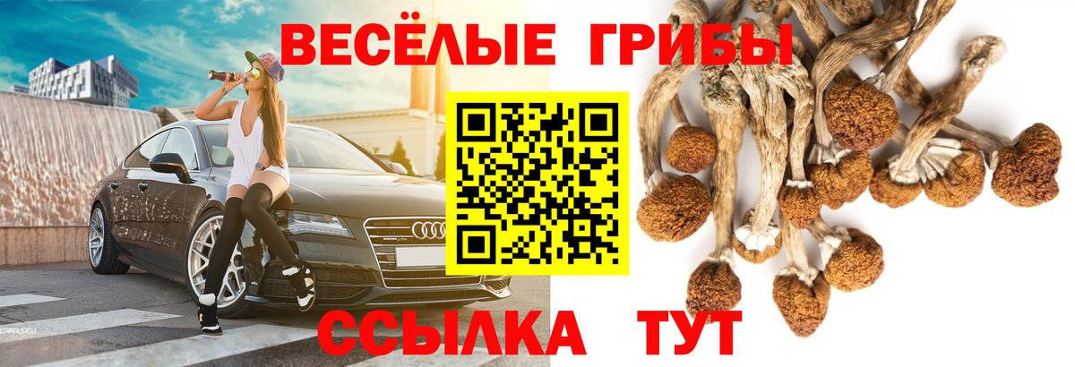 Галлюциногенные грибы Cubensis Омск