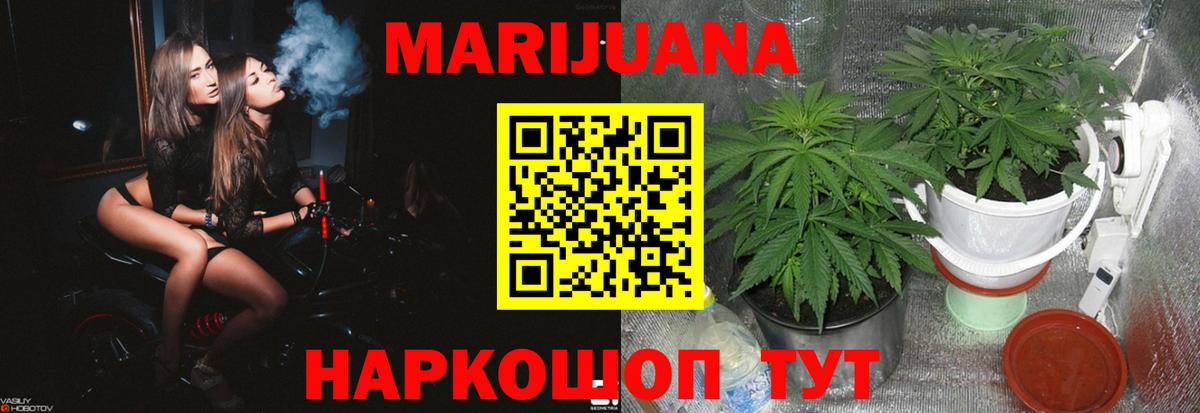 Бошки Шишки ГИДРОПОН  Конопля Bruce Banner  Бошки марихуана семена  Омск  Вход с VPN  Канабис VHQ 